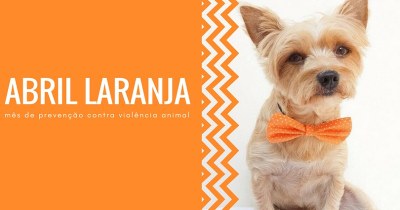 Combate a violencia contra animal.jpg